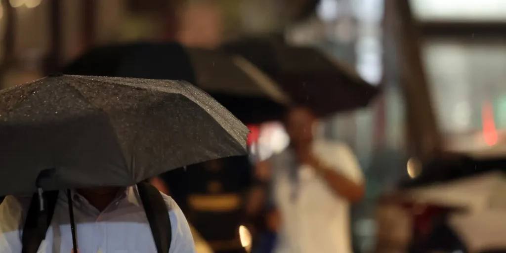agua-da-chuva-pode-estar-contaminada-por-agrotoxico,-diz-estudo