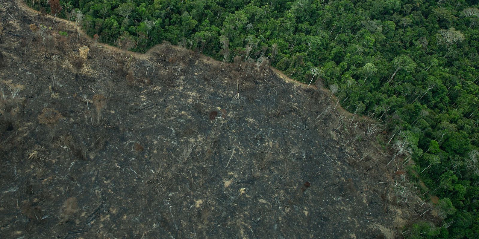 projeto-de-lei-“implode”-licenciamento-ambiental,-diz-especialista projeto-de-lei-“implode”-licenciamento-ambiental,-diz-especialista