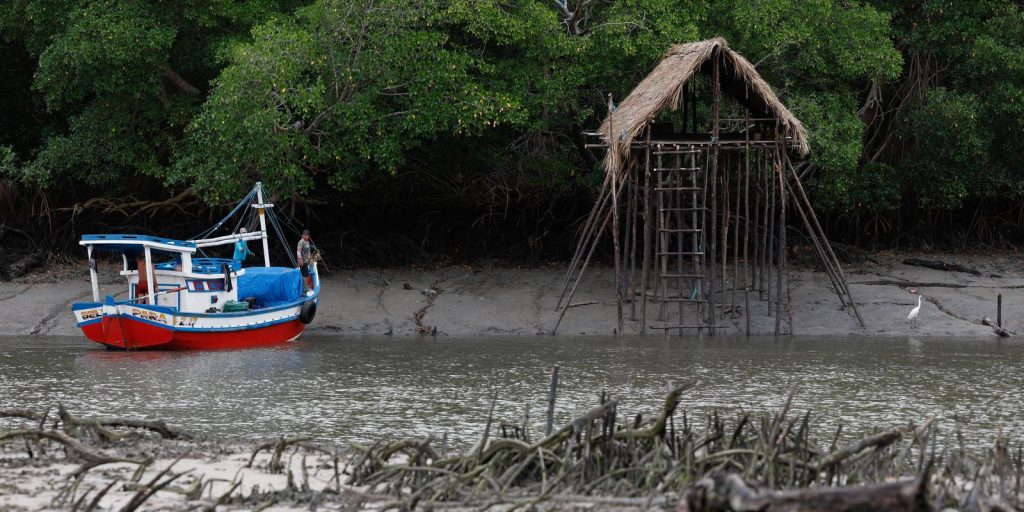 cop-30-coloca-amazonia-e-sustentabilidade-no-centro-do-debate