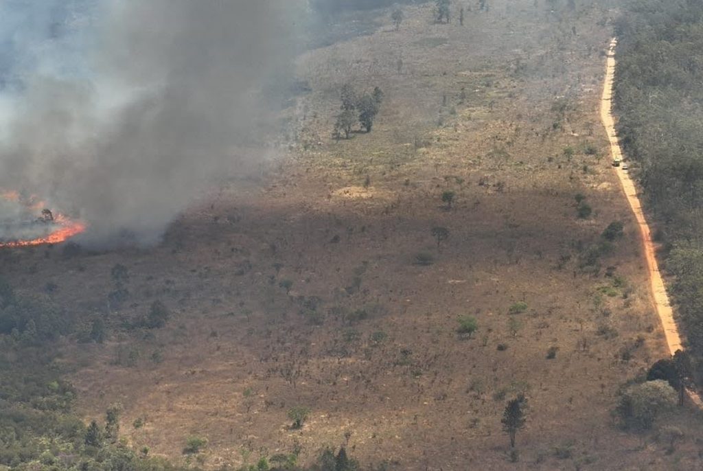 floresta-nacional-de-brasilia-registra-3°-dia-seguido-de-incendios