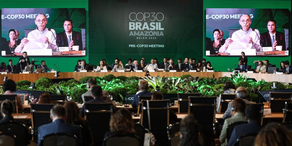 “cop-e-o-lugar-para-resolver-financiamento-climatico”,-diz-economista