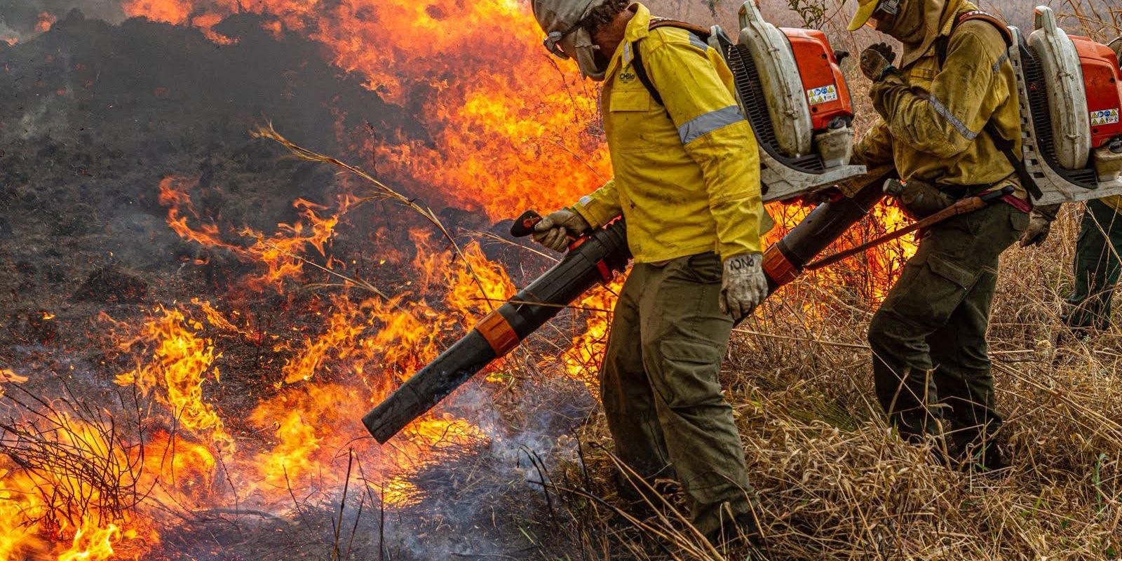 pre-cop:-brasil-propoe-resposta-global-a-incendios-florestais pre-cop:-brasil-propoe-resposta-global-a-incendios-florestais