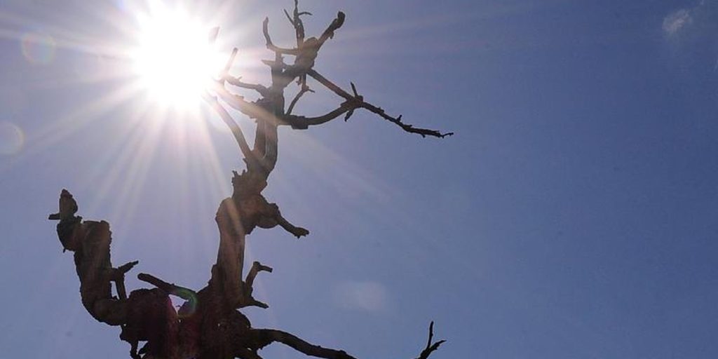 defesa-civil-reconhece-situacao-de-emergencia-em-13-estados-do-pais