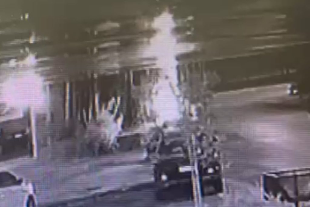 homem-que-colocou-fogo-em-gameleira-de-40-anos-e-advogado-no-df