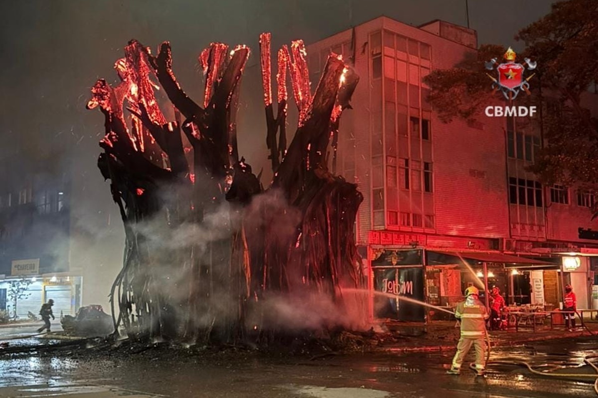 advogado-colocou-fogo-em-gameleira-de-40-anos-para-“entreter-o-filho” advogado-colocou-fogo-em-gameleira-de-40-anos-para-“entreter-o-filho”