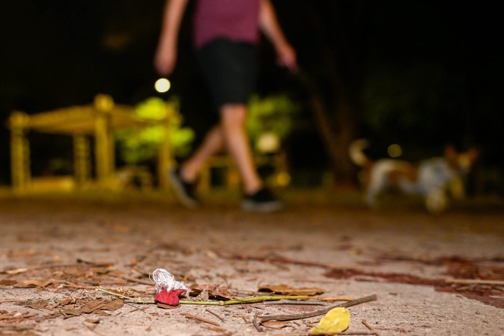 df:-grupo-tentou-roubar-outro-jovem-meia-hora-antes-de-esfaquear-isaac