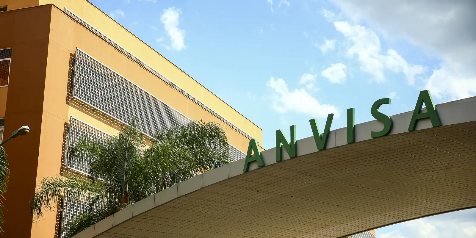anvisa-restringe-venda-de-azeite,-sal-do-himalaia-e-cha;-confira anvisa-restringe-venda-de-azeite,-sal-do-himalaia-e-cha;-confira