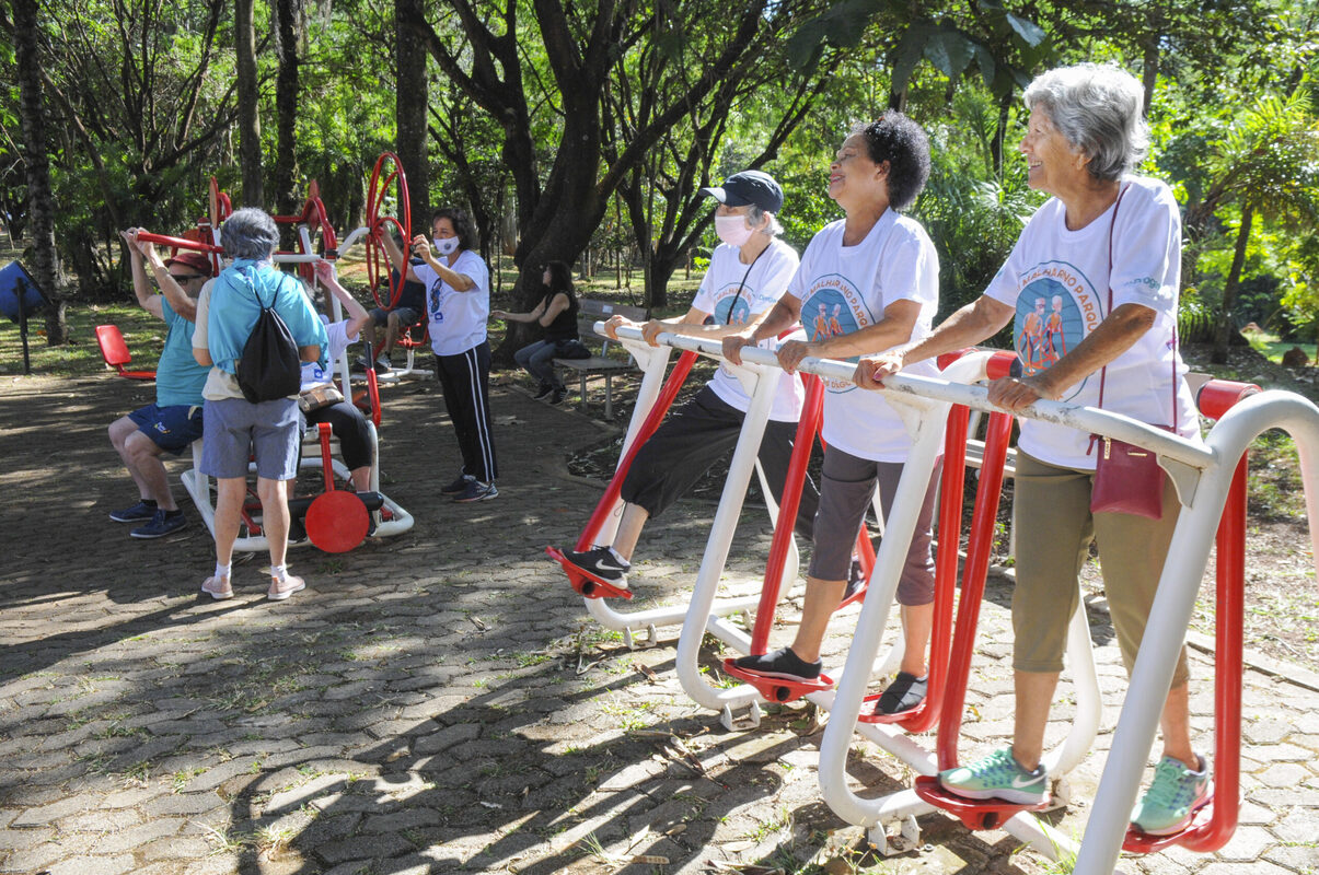 populacao-do-df-envelhece,-mas-idosos-estao-mais-ativos,-revela-pesquisa populacao-do-df-envelhece,-mas-idosos-estao-mais-ativos,-revela-pesquisa