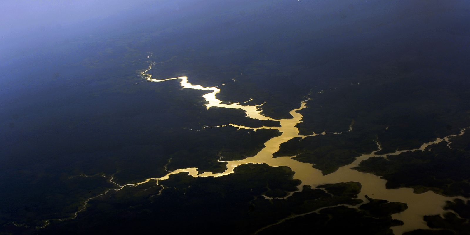 captura-de-carbono-na-amazonia-esta-em-risco,-diz-estudo captura-de-carbono-na-amazonia-esta-em-risco,-diz-estudo
