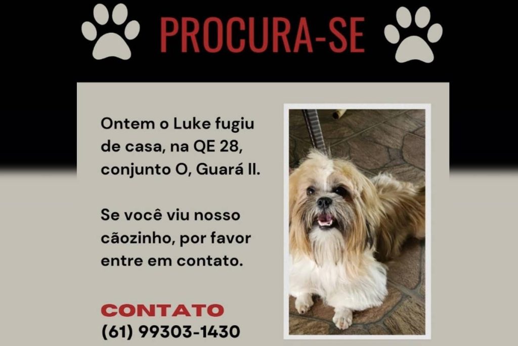 onde-esta-luke?-familia-do-guara-procura-por-cachorrinho-desaparecido