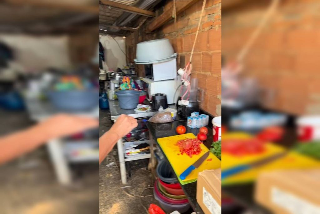 video-mostra-fabrica-de-salgados-infestada-de-baratas-e-moscas