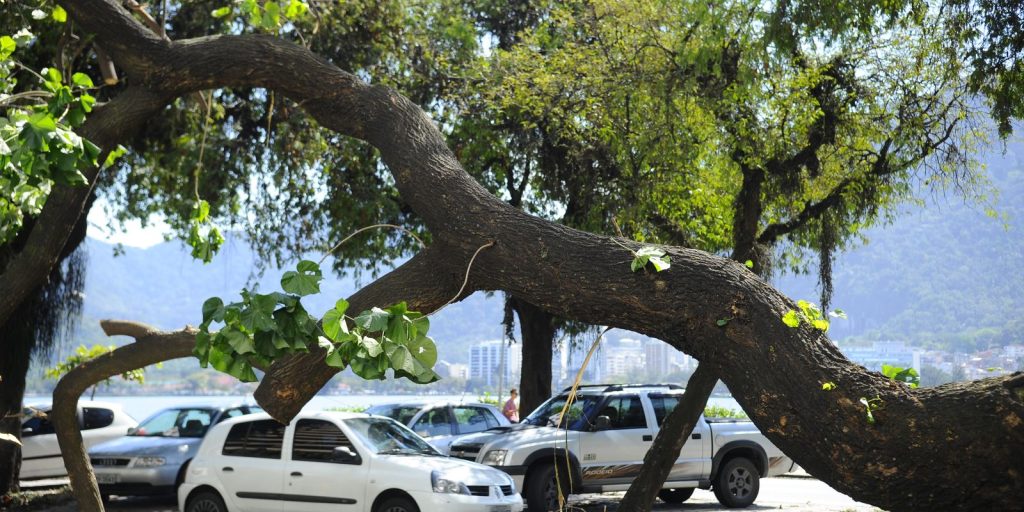 cidades-verdes,-do-ministerio-do-meio-ambiente,-recebe-323-iniciativas