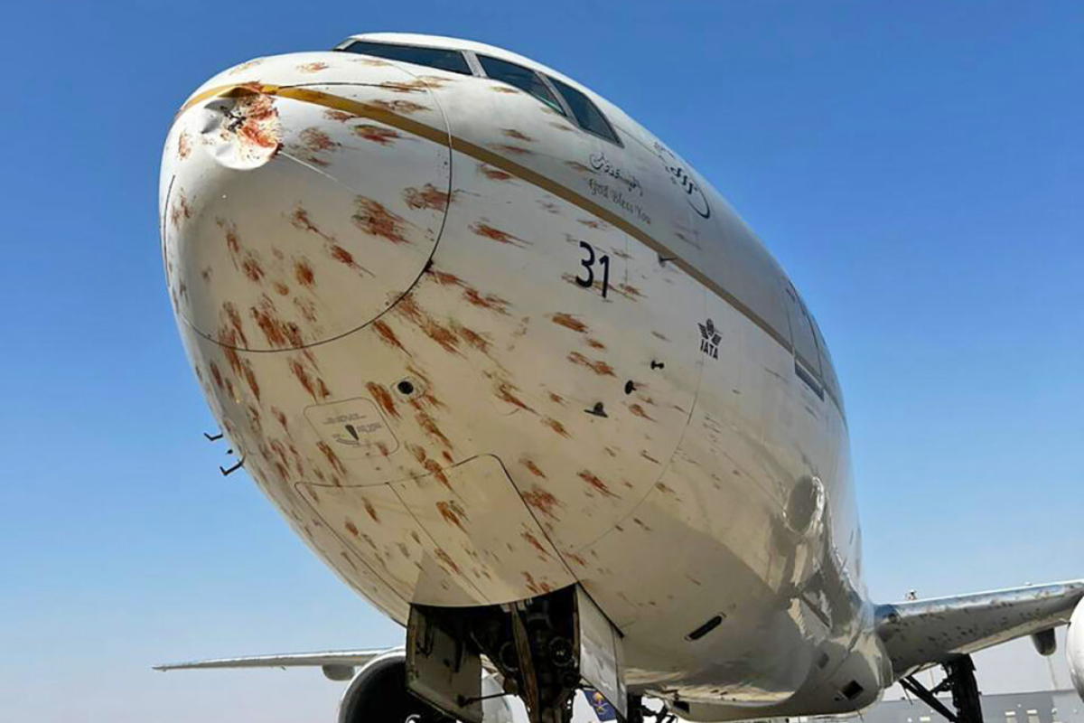 video:-aviao-atinge-passaros-na-decolagem-e-fica-coberto-de-sangue video:-aviao-atinge-passaros-na-decolagem-e-fica-coberto-de-sangue