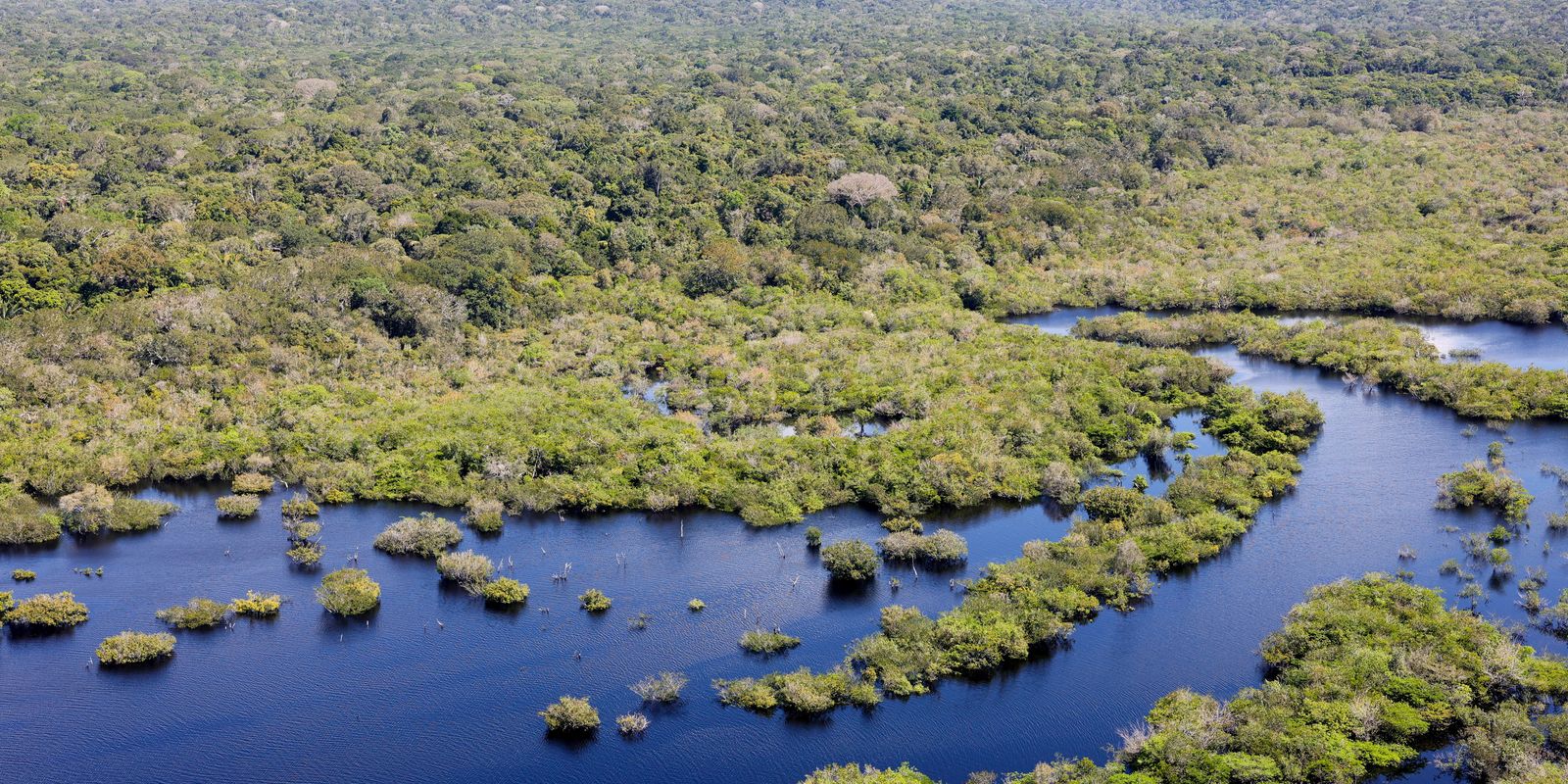 boleto-gigante-na-paulista-cobra-paises-ricos-sobre-divida-com-o-clima boleto-gigante-na-paulista-cobra-paises-ricos-sobre-divida-com-o-clima
