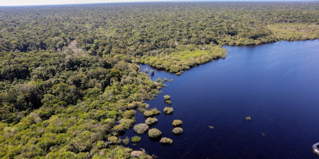amazonia-e-cerrado-registram-queda-de-11%-no-desmatamento