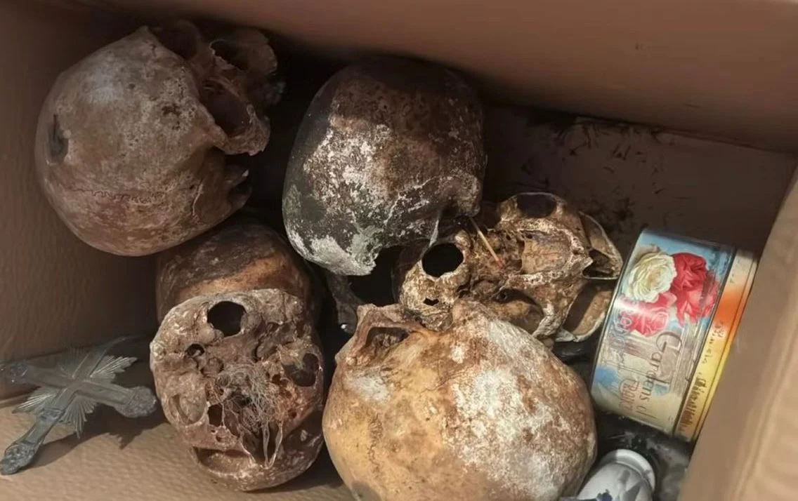 cranios achados em apartamento
