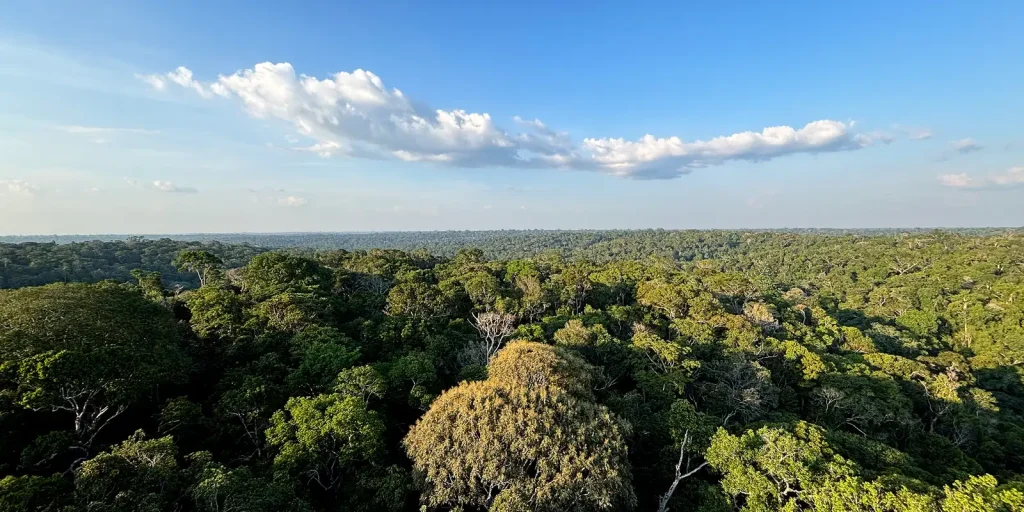 cop30:-o-que-e,-quando-acontece-e-o-que-sera-discutido-em-belem