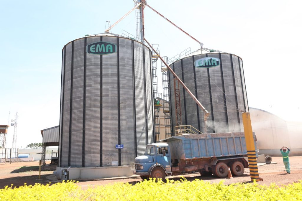 ibaneis-abre-plantio-de-soja-da-safra-2025/2026-no-distrito-federal