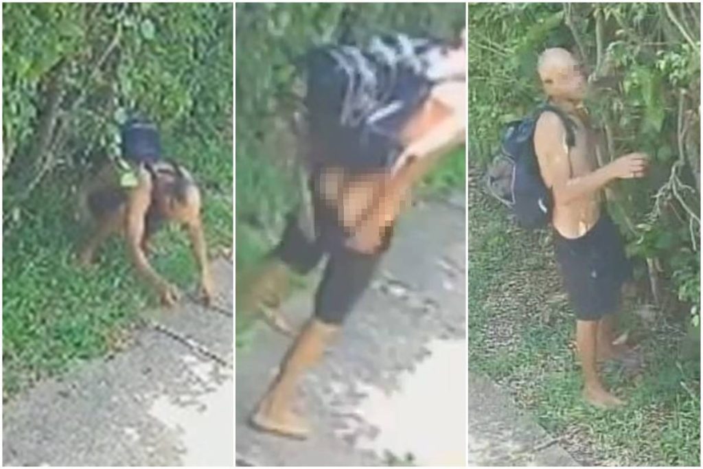 cagao-defeca-na-porta-de-casa-no-df-antes-de-invadir-para-furtar