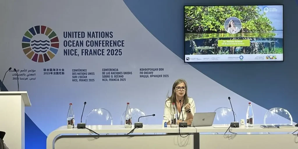 especialista-da-cop30-cobra-mais-financiamento-para-oceanos
