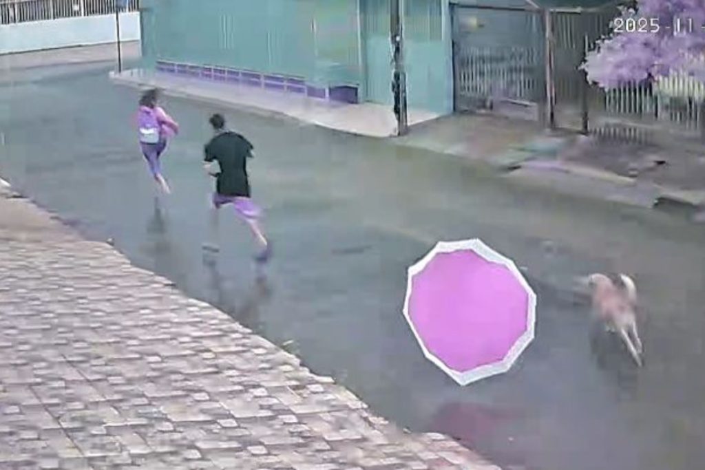 ladrao-pe-de-chinelo-tem-furto-frustrado-ao-perder-sapato-na-rua