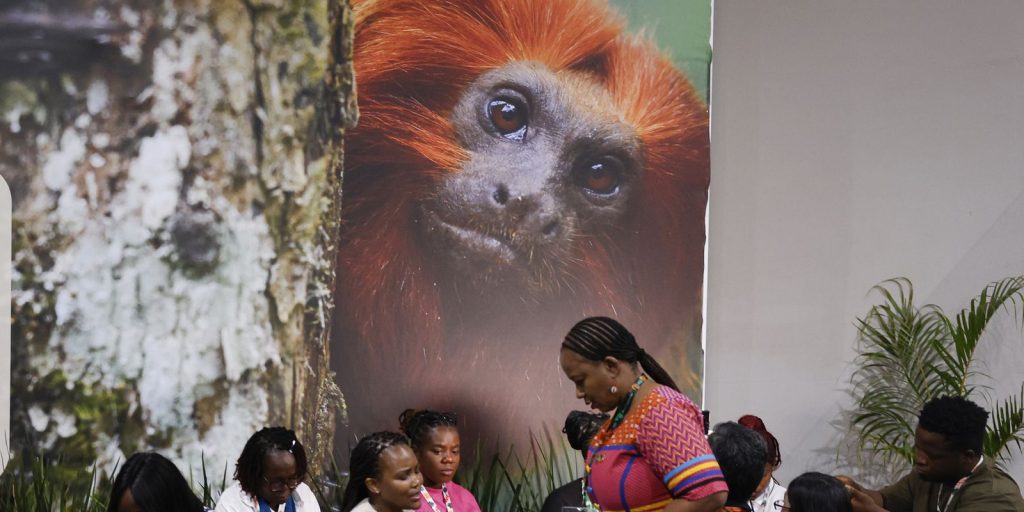 cop30:-financiamento,-transicao-e-adaptacao-sao-centro-das-negociacoes
