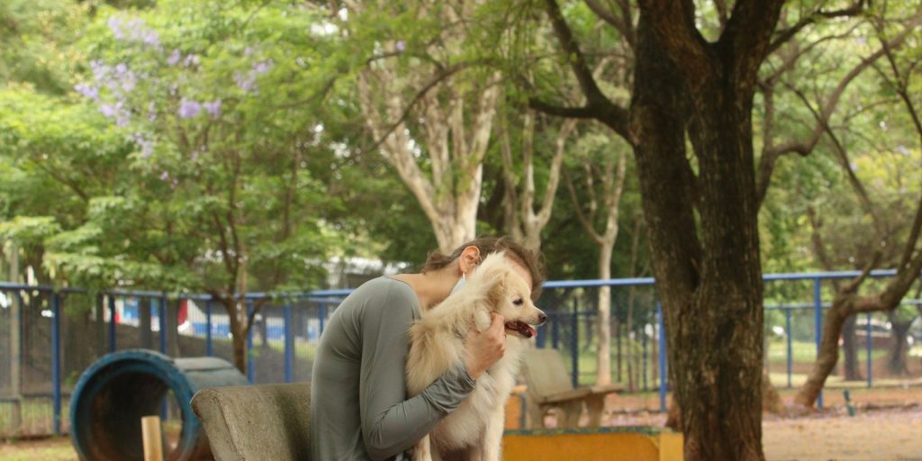 cade-aprova-fusao-entre-petz-e-cobasi-com-restricoes