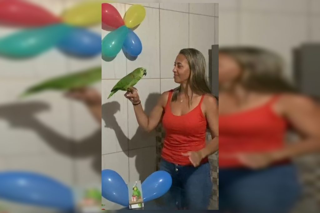 tutora-do-df-ganha-guarda-de-ave-silvestre-e-faz-festa-para-papagaia